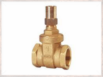 Lock shield valve with key