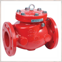 Swing check valve